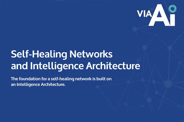 Self-Healing Networks and Intelligence Architecture